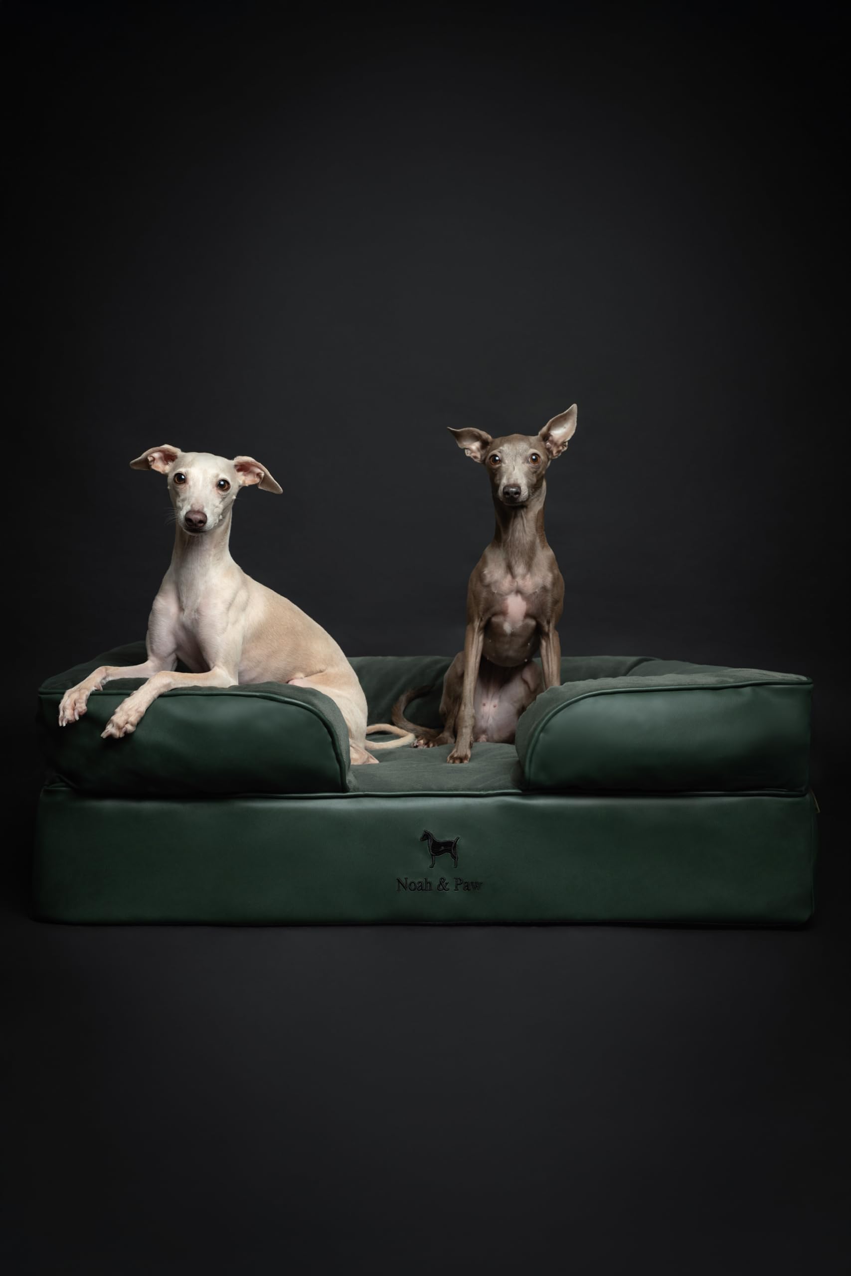 NOAH & PAW memory foam core with layered comfort and support.
