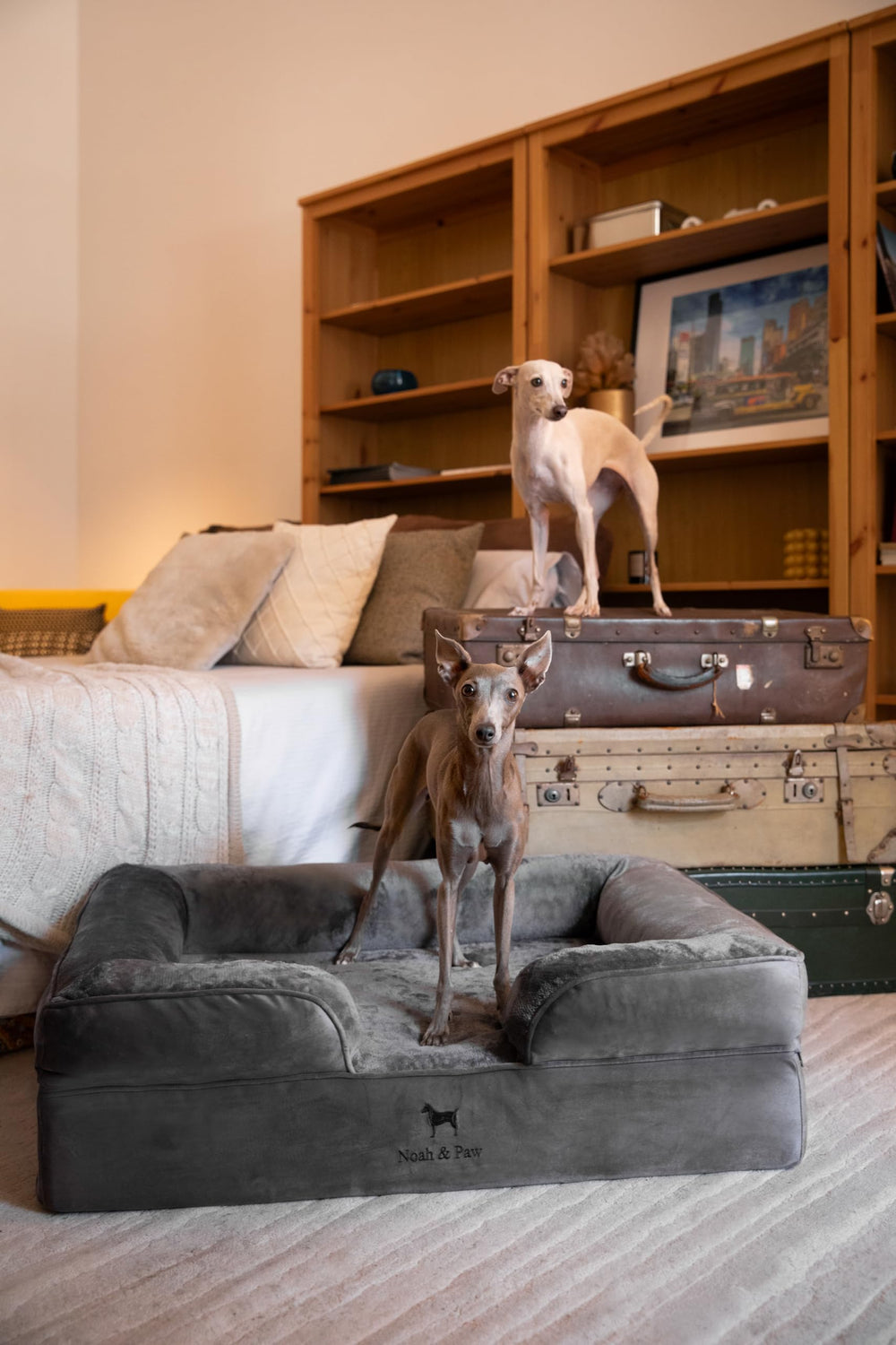 NOAH & PAW Large Dog Bed memory foam detail with cooling gel for temperature regulation