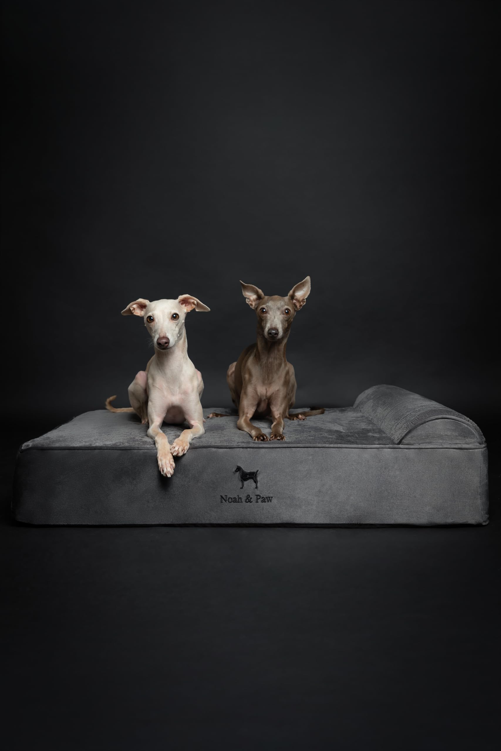 NOAH & PAW memory foam eggshell cooling gel closeup demonstrates temperature regulation.