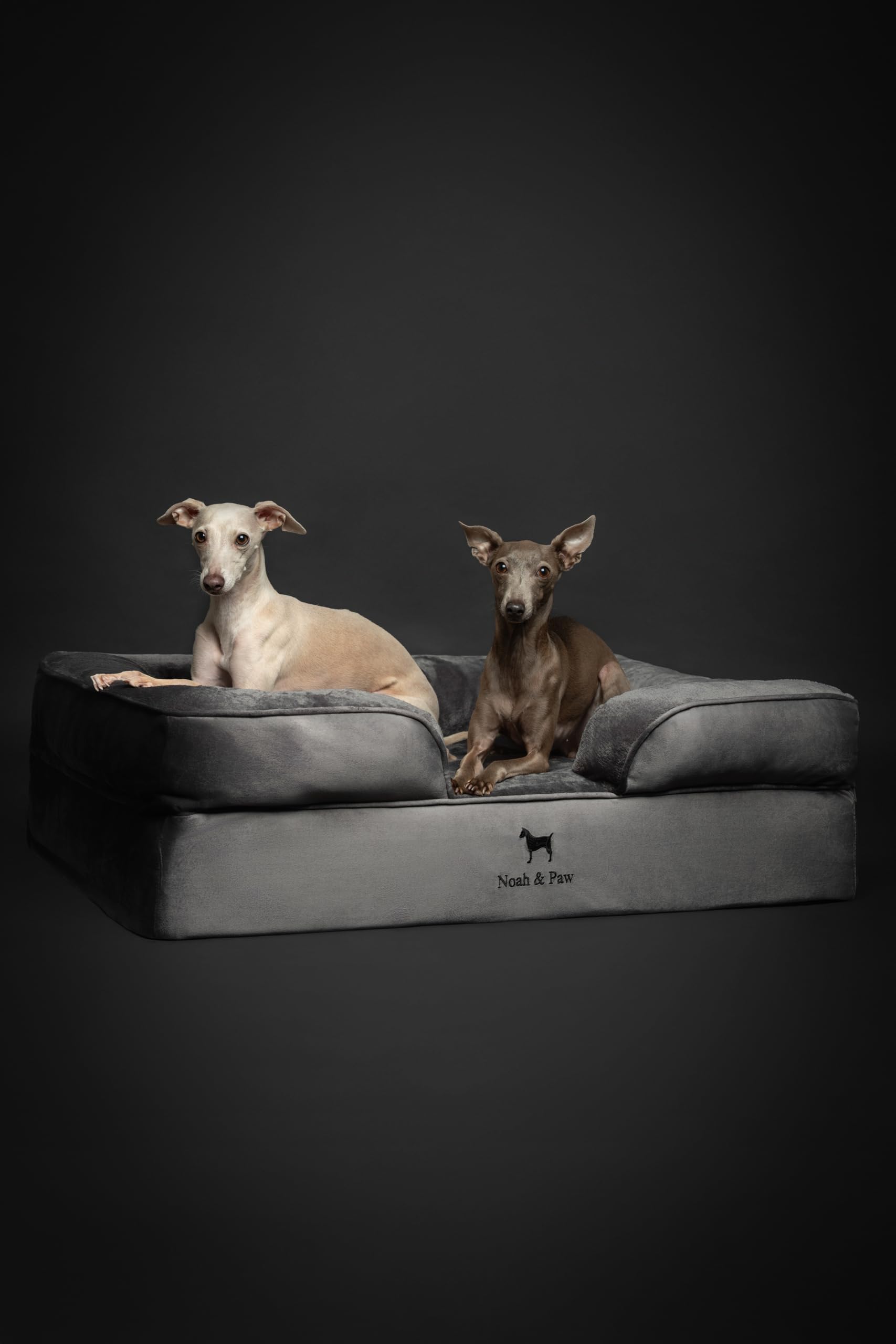 NOAH & PAW Large Dog Bed size options suitable for dogs and puppies