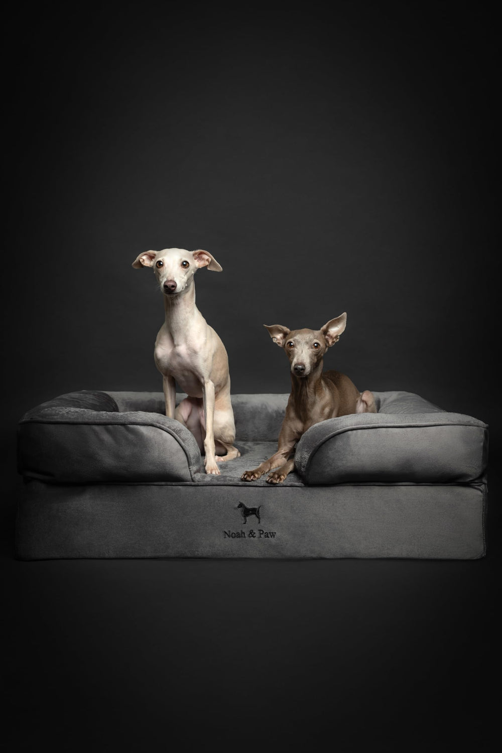 NOAH & PAW Large Dog Bed washable covers simplify cleaning and maintenance