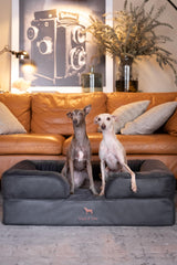 NOAH & PAW memory foam detail highlights pressure-relief for joints