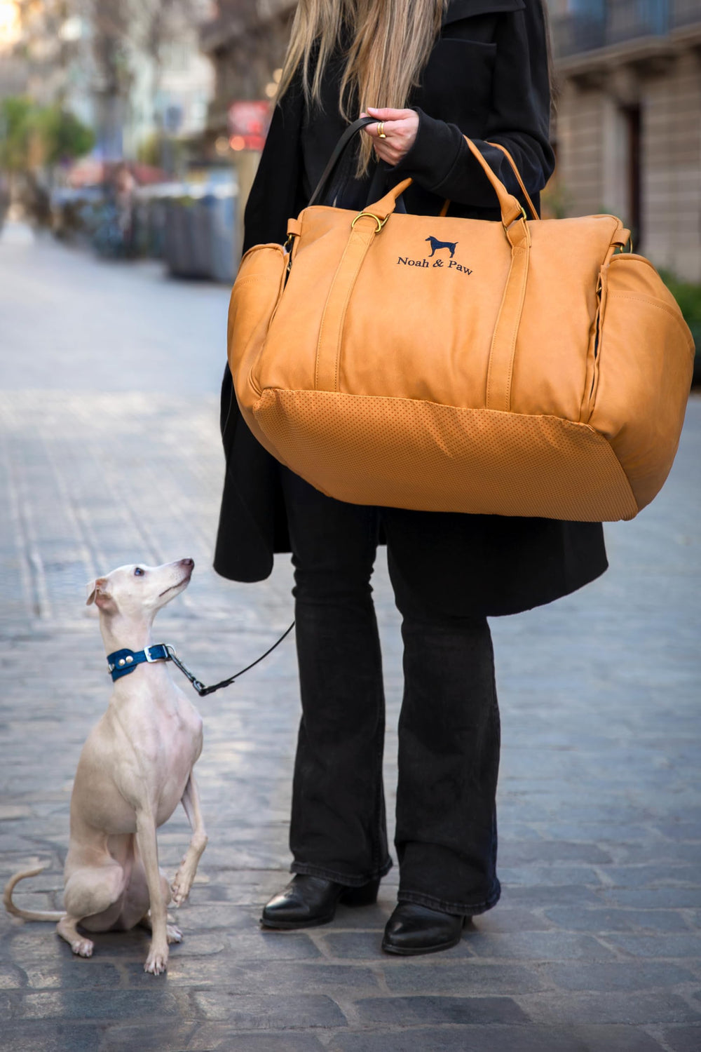 NOAH & PAW memory foam padding keeps pets comfy on long trips.