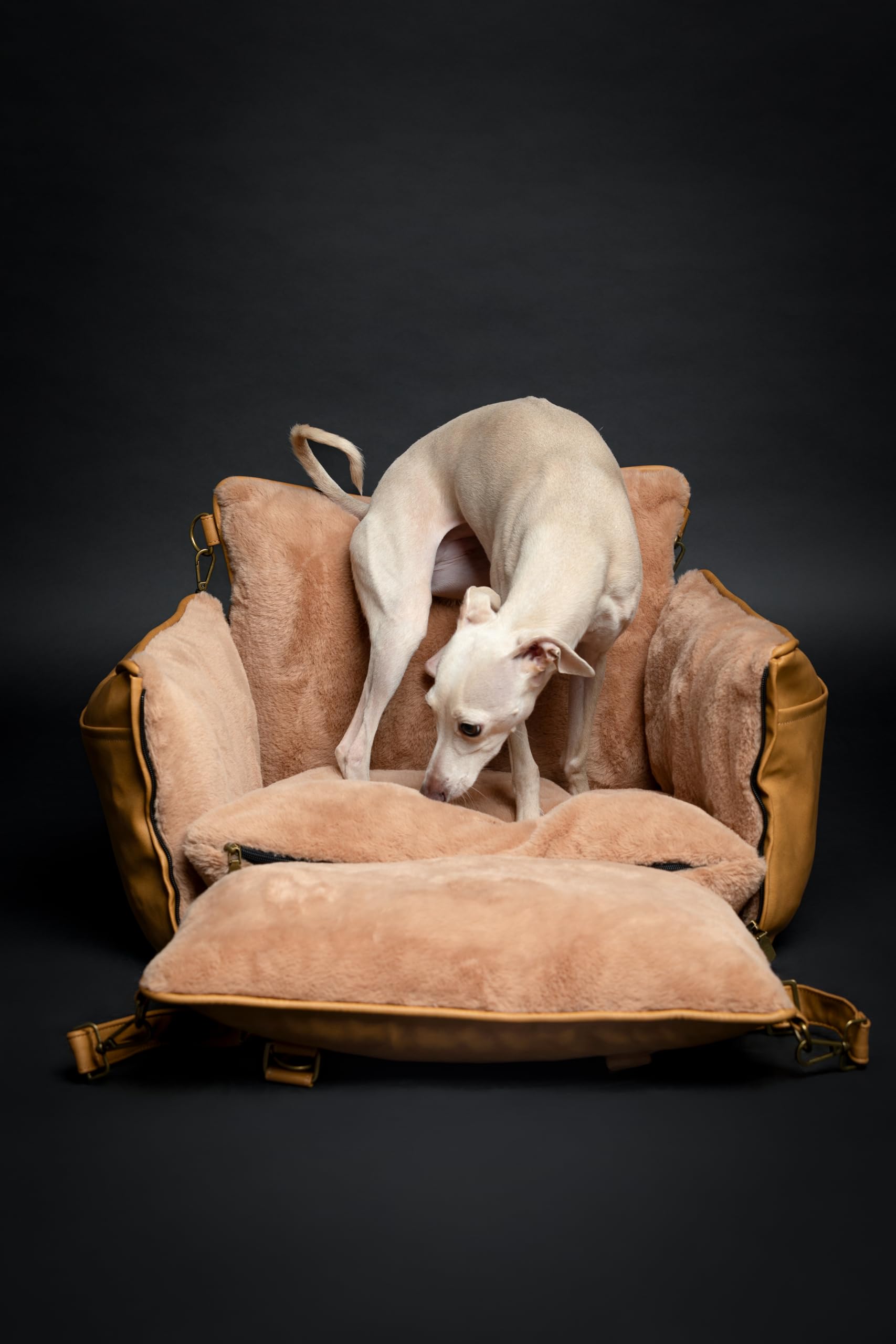 NOAH & PAW removable cover allows quick washing after travel.