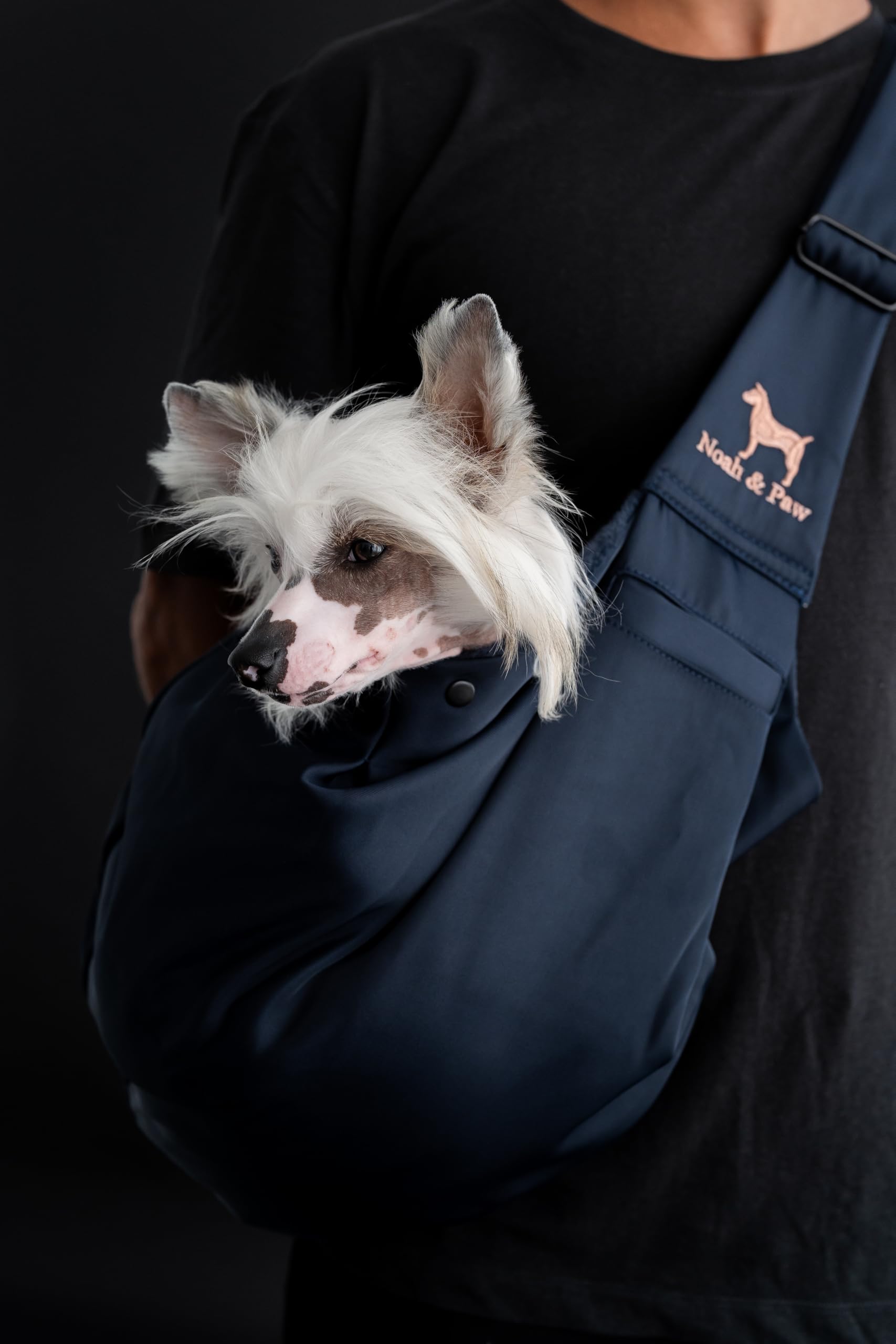 Noah and Paw safety belt clip keeps pet secure.