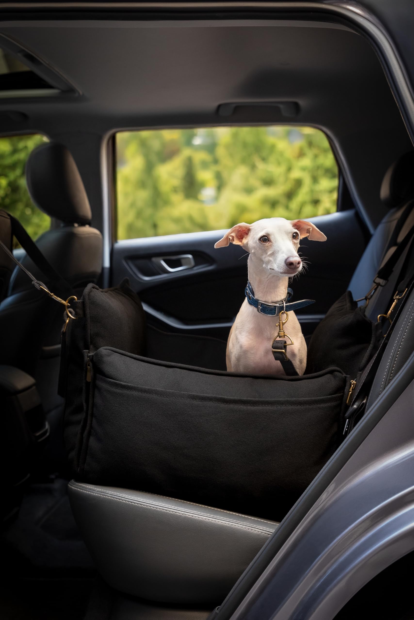 NOAH & PAW memory foam interior provides plush comfort on rides