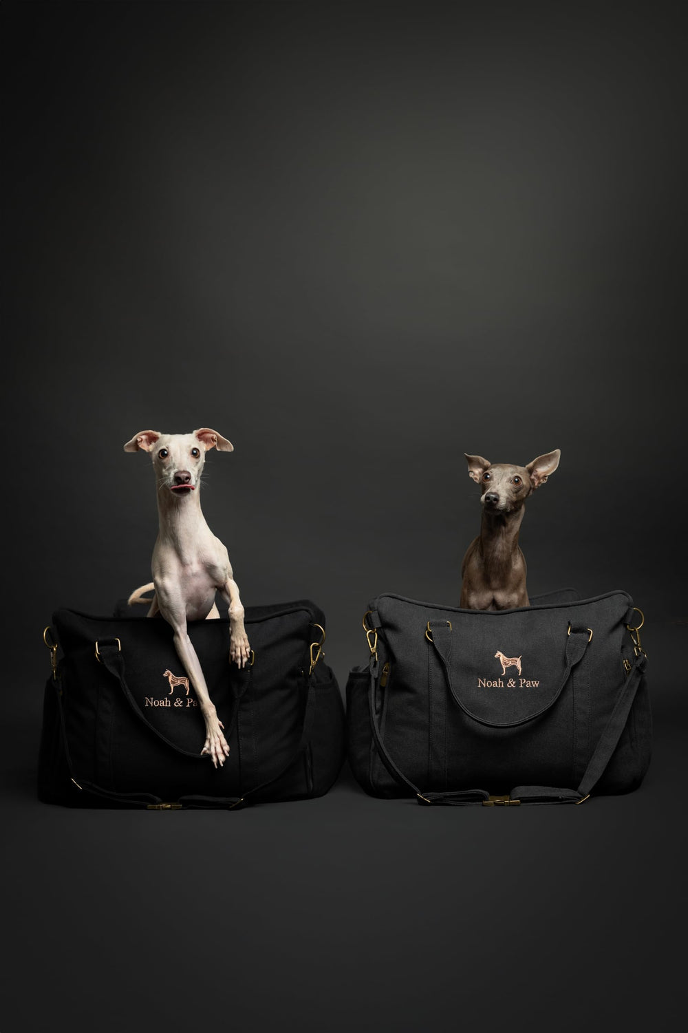 NOAH & PAW removable cushions revealed for quick washing