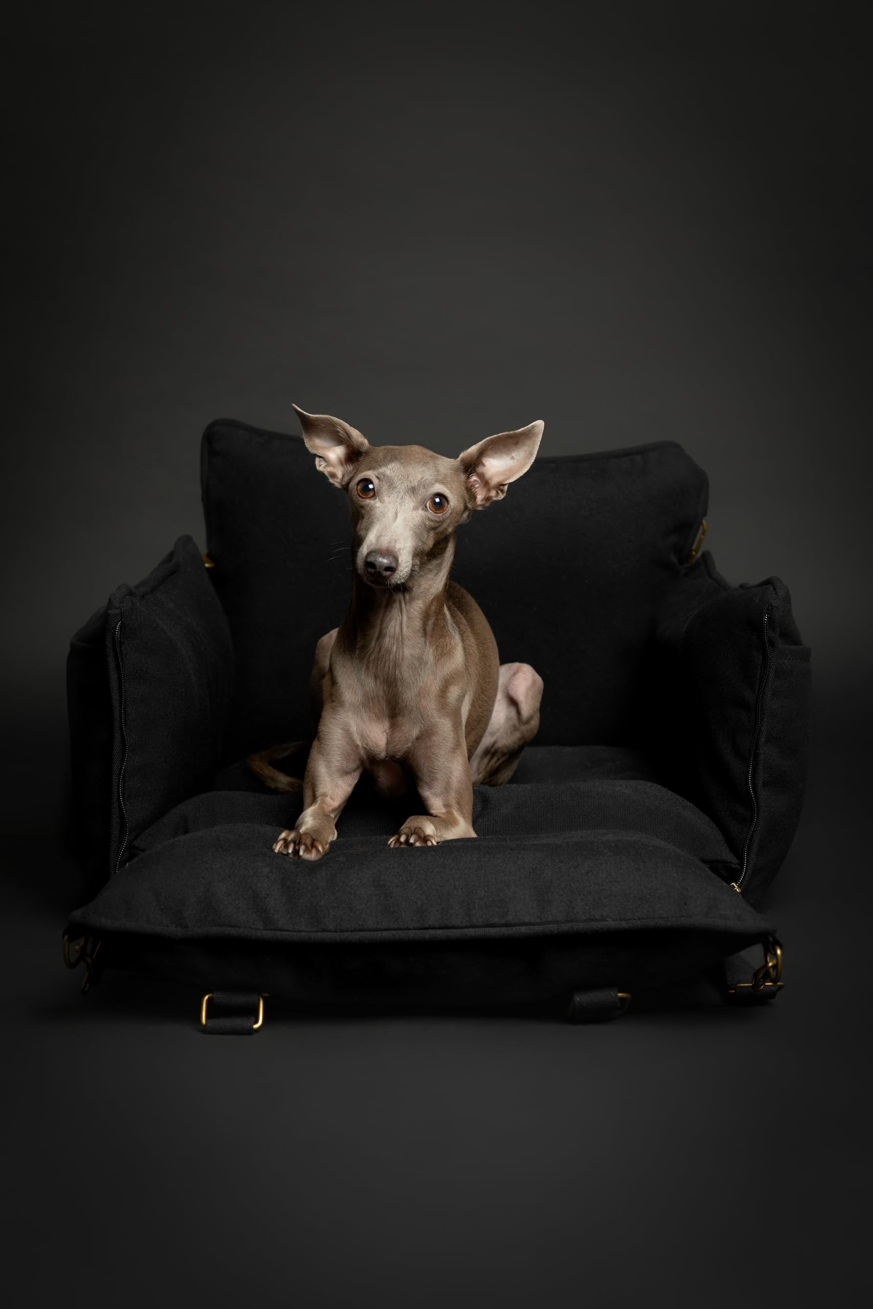 NOAH & PAW washable cover close-up for easy cleaning between trips