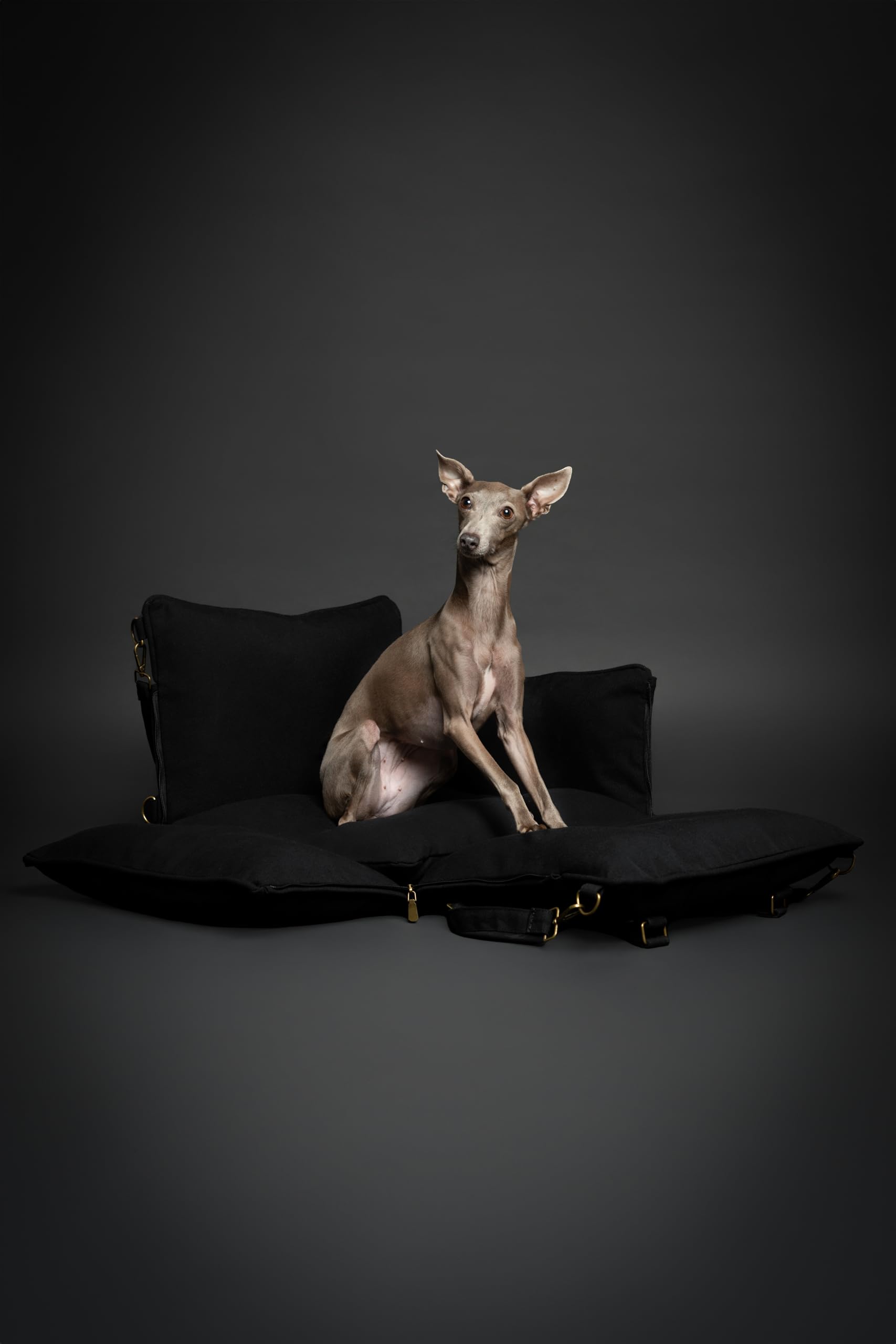 NOAH & PAW waterproof canvas exterior suitable for daily use