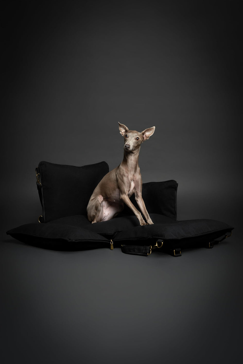 NOAH & PAW waterproof canvas exterior suitable for daily use