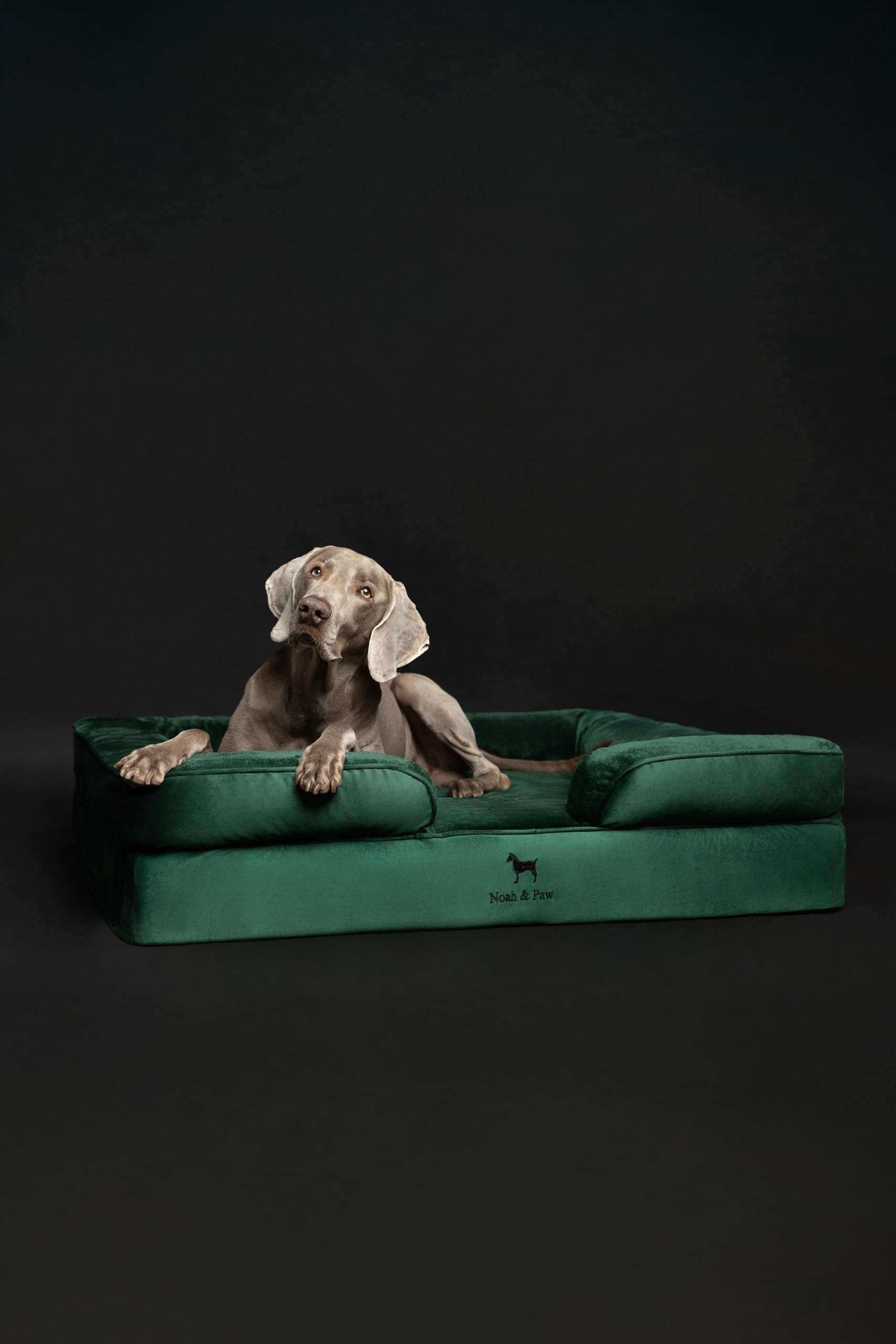 NOAH & PAW XL 5-inch bolster offers cozy head and neck rest.