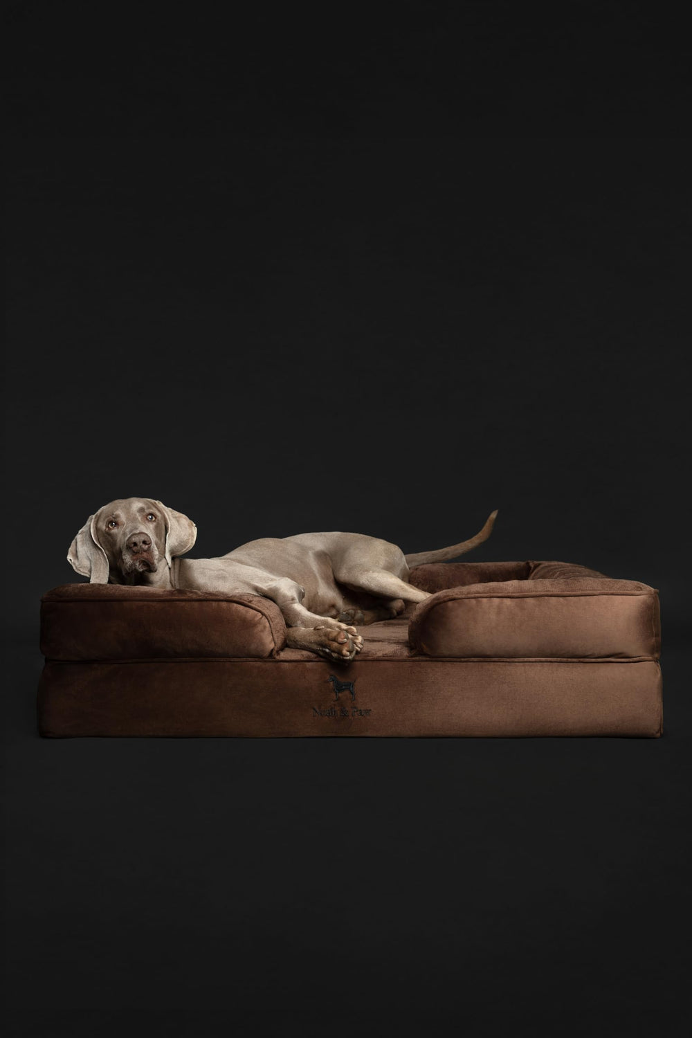 NOAH & PAW XL bed bolster provides extra neck and head support.