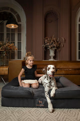 NOAH & PAW XL dog bed cooling gel infusion maintains surface comfort