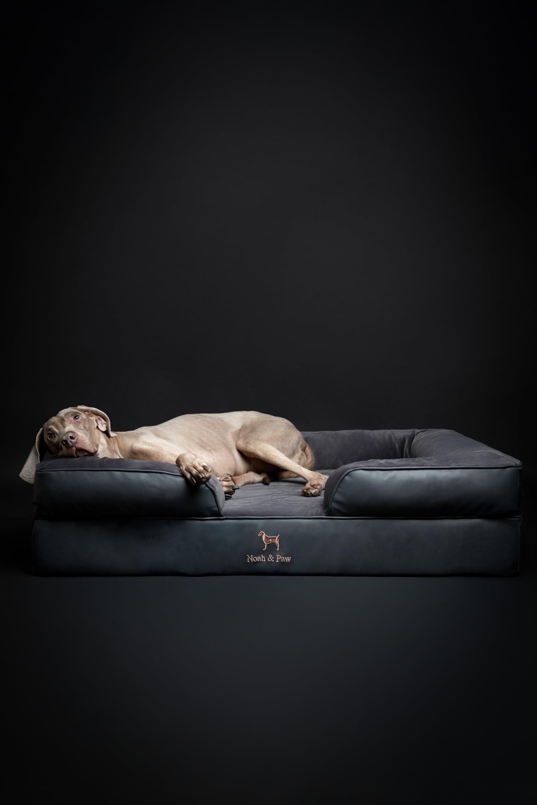 NOAH & PAW XL faux leather look complements home décor
