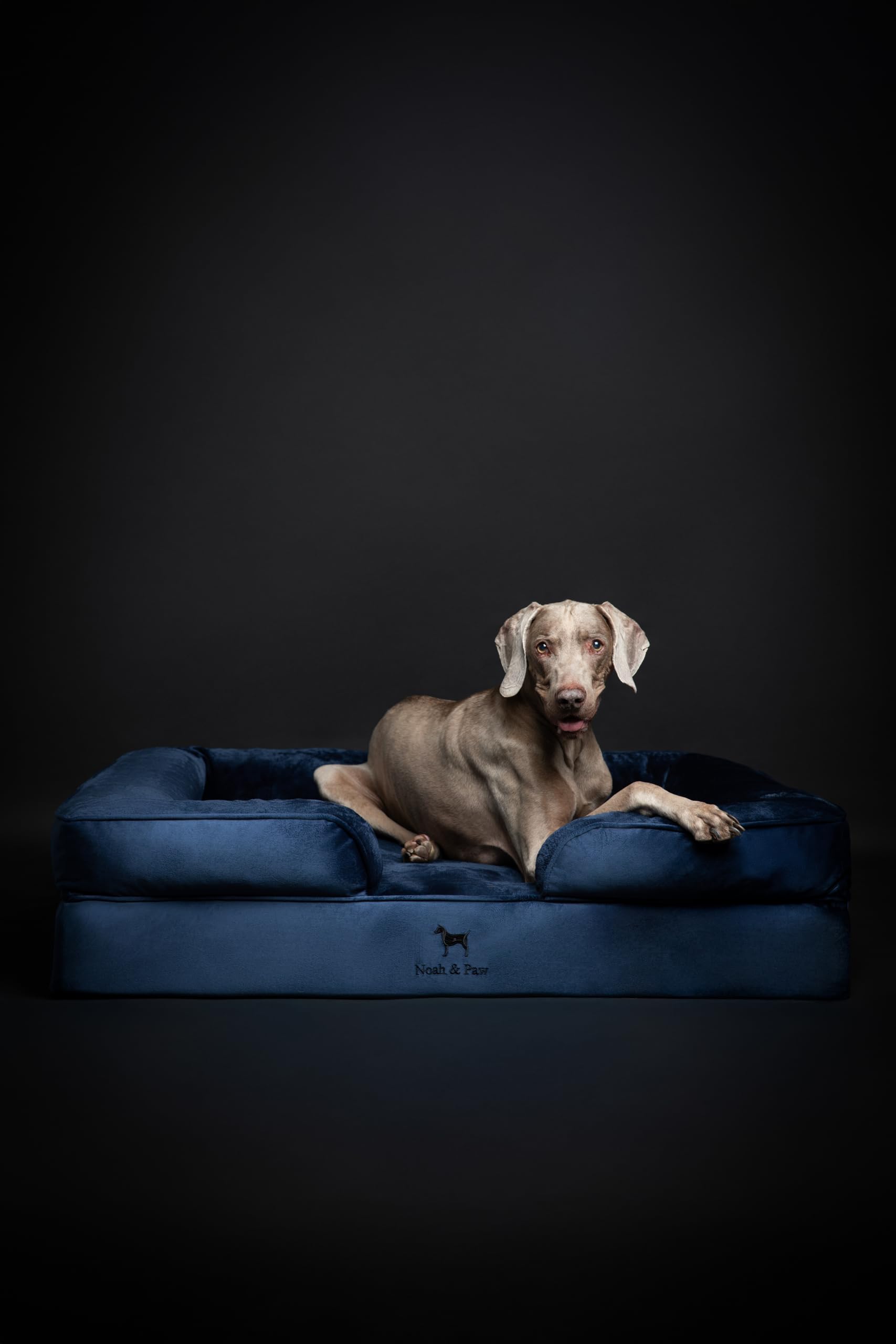 NOAH AND PAW XL bed foam core for stable support