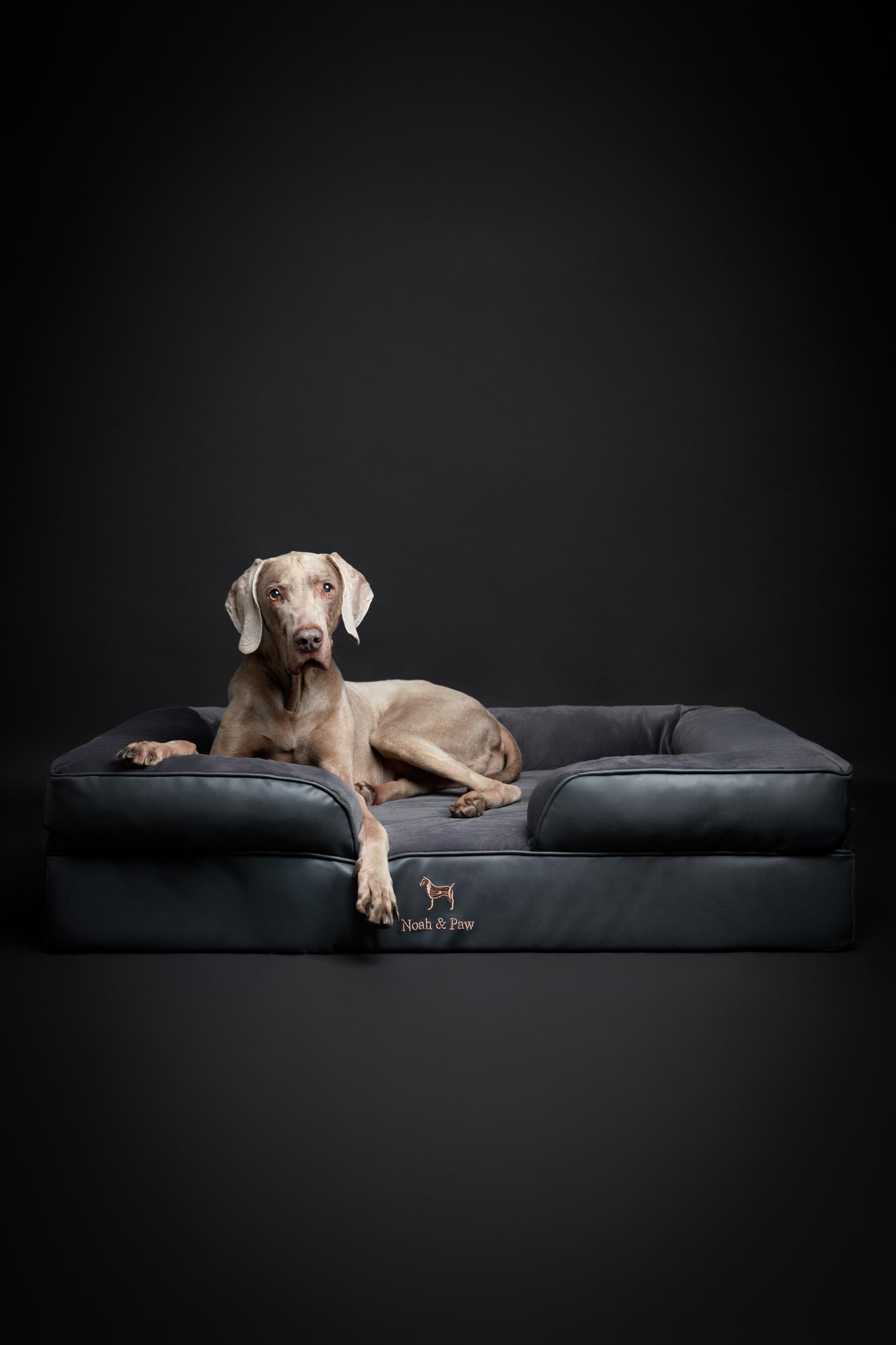 NOAH & PAW XL orthopedic support promotes joint-friendly lounging