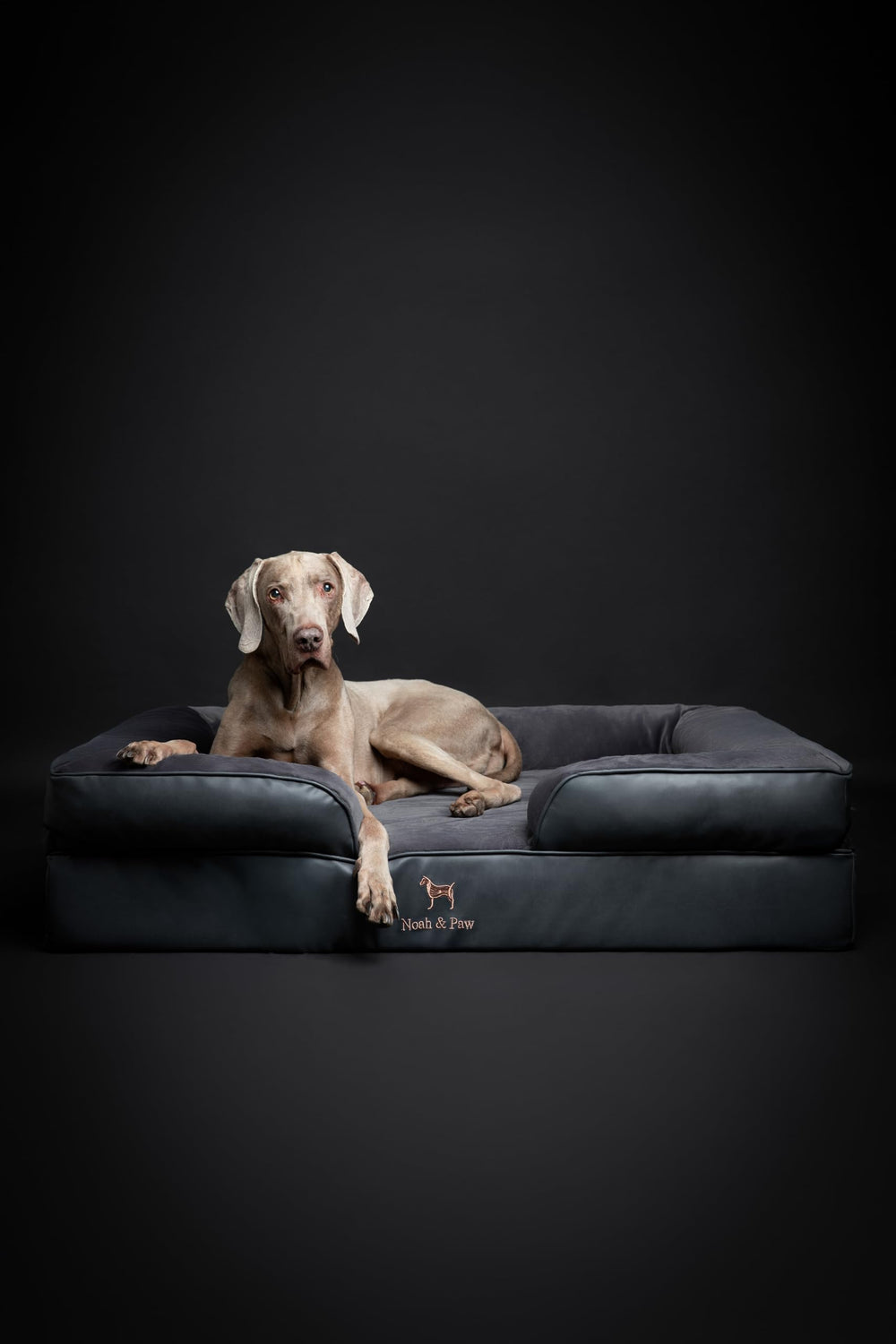 NOAH & PAW XL orthopedic support promotes joint-friendly lounging