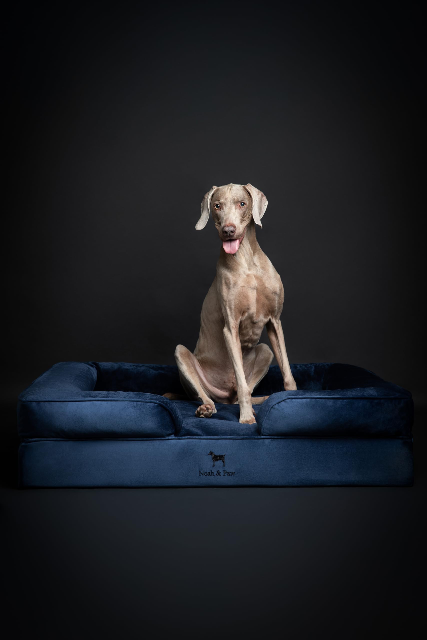 NOAH AND PAW XL bed with outer machine-washable cover in use