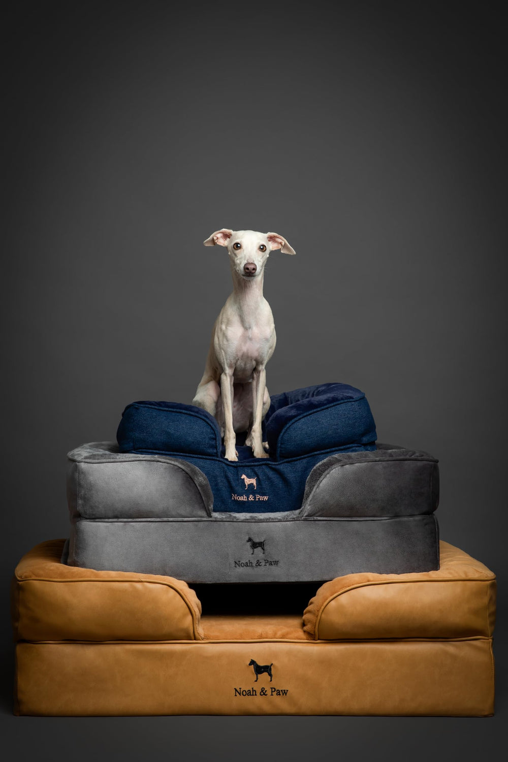 NOAH AND PAW XL bed measures 45x35 inches for large breeds