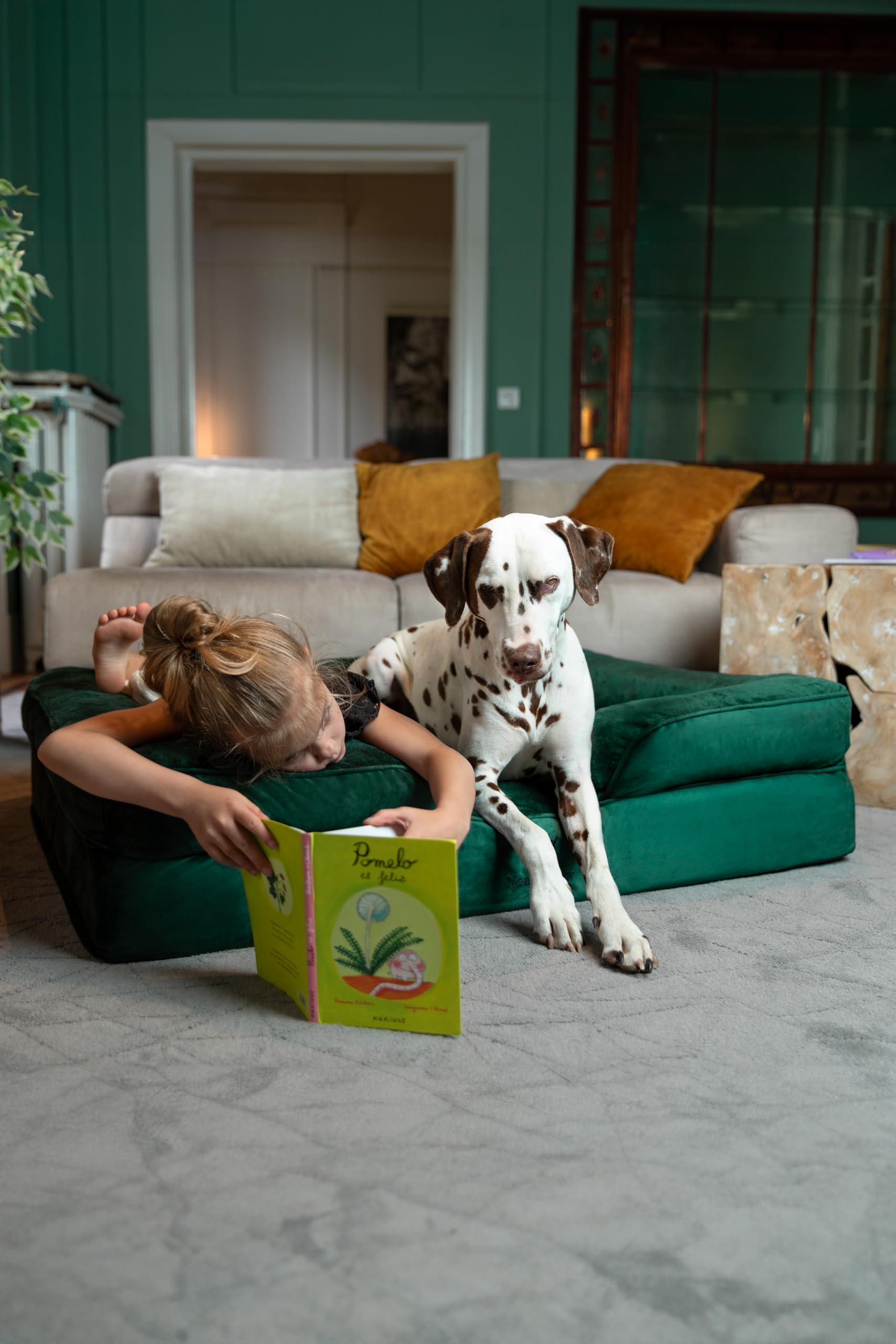 NOAH & PAW XL memory foam core provides supportive comfort for large breeds.
