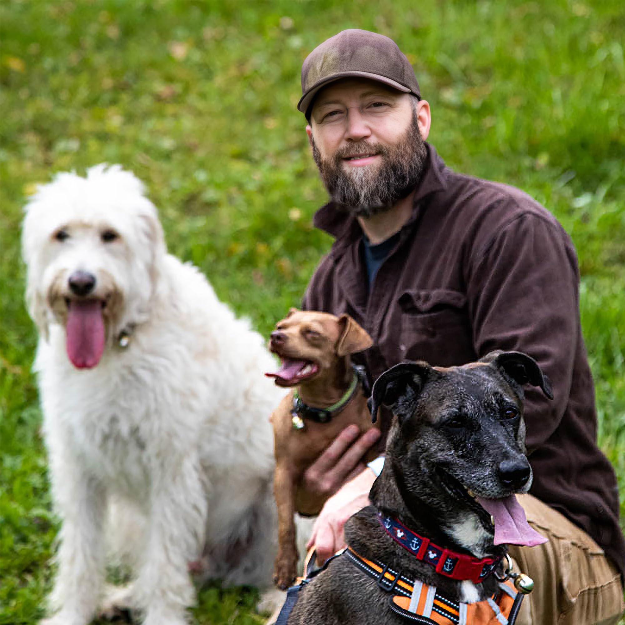 Noble Bells loud clacker sound aids easier pet location during walks.