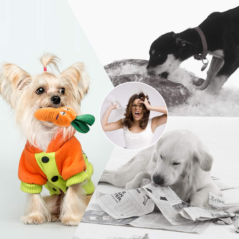 Nocciola banana toy offers cheerful chewing for energy release.