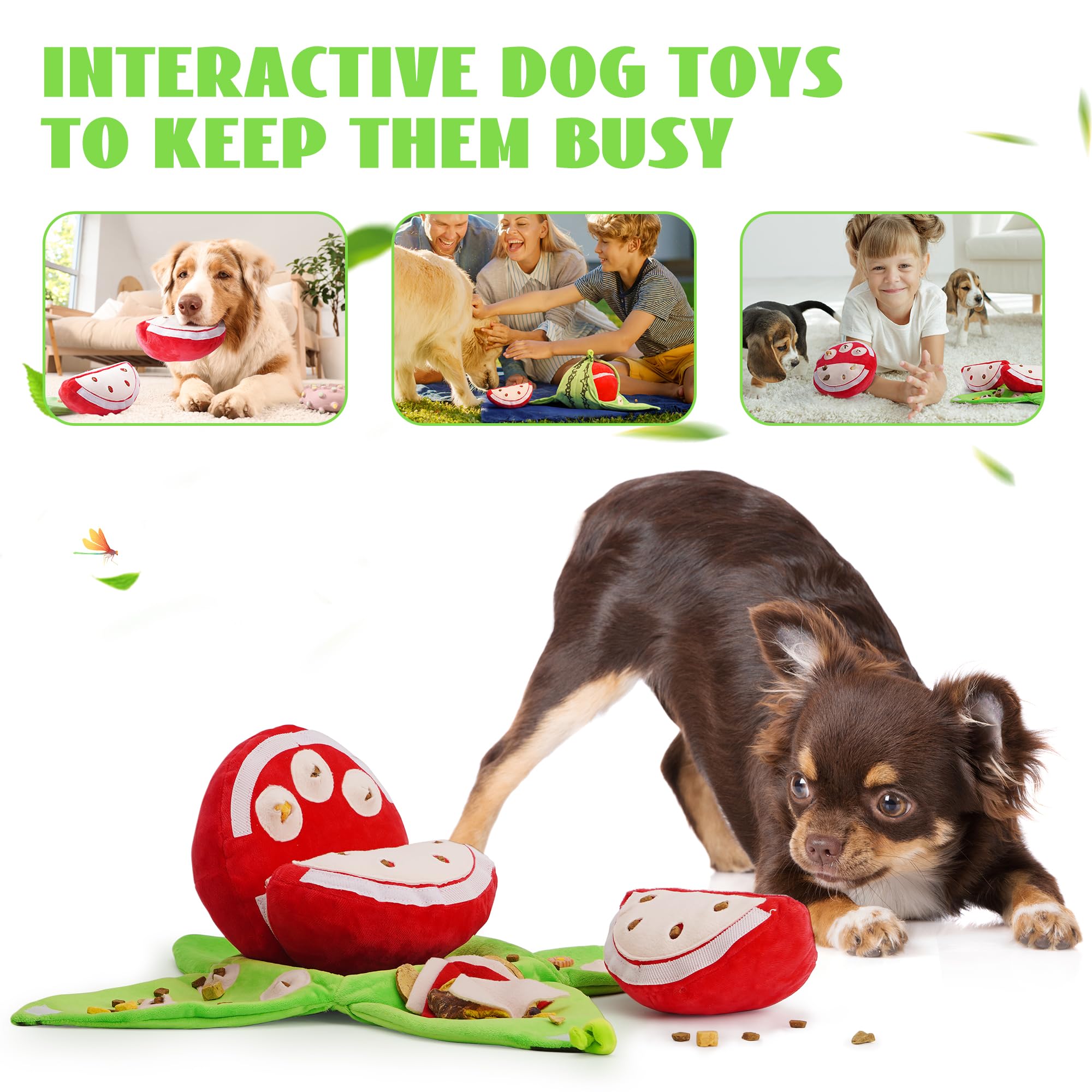Nocciola boredom-busting interactive toy for dogs during quiet afternoons