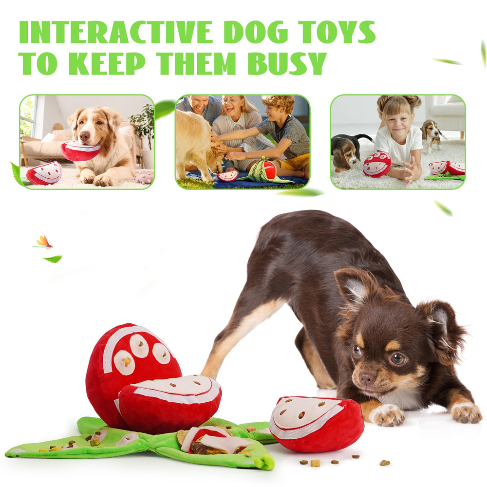 Nocciola boredom-busting interactive toy for dogs during quiet afternoons