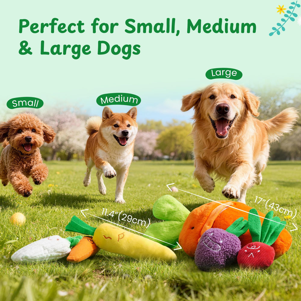 Nocciola Easter gift ideal for small to large breeds and year-round fun.