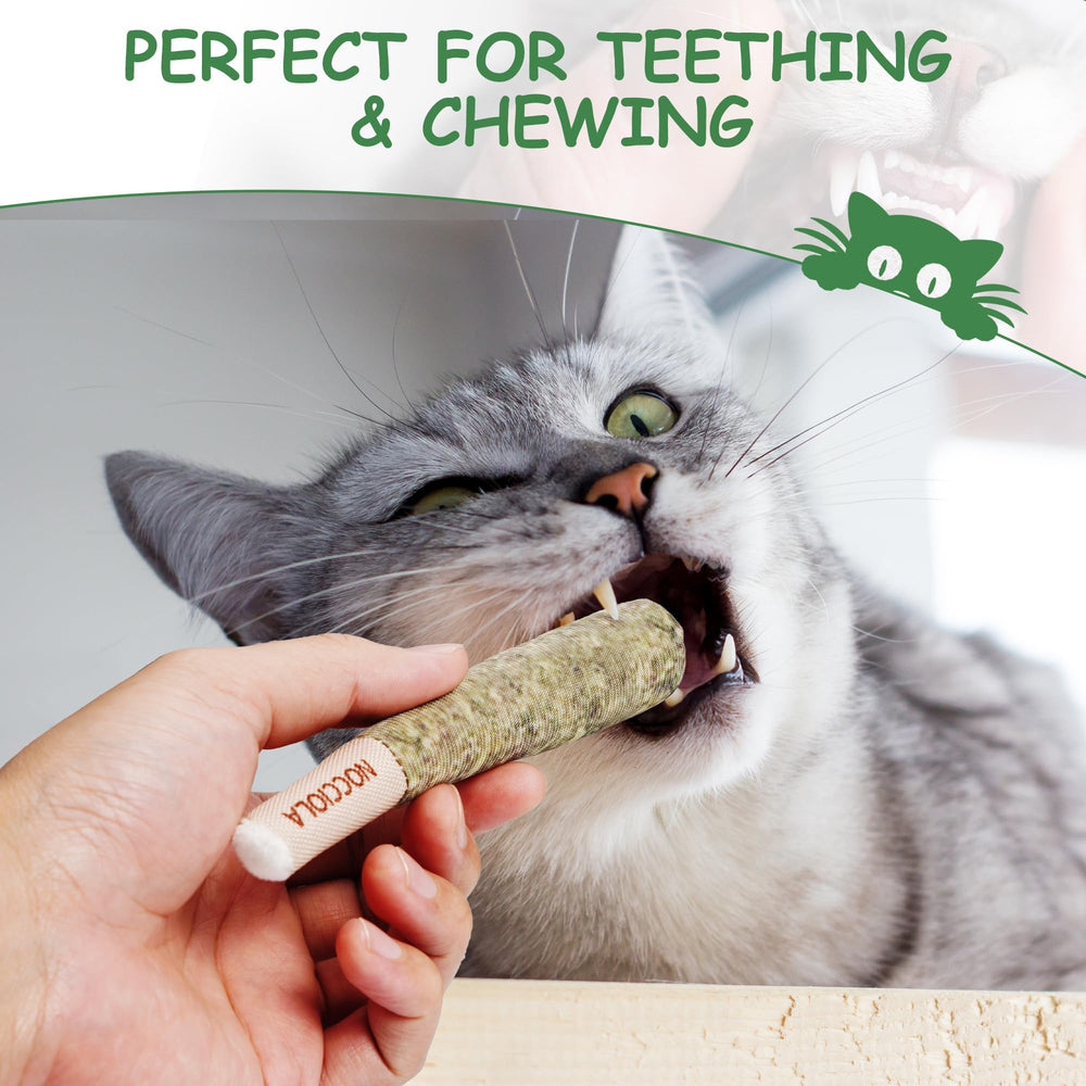 Close-up of Nocciola catnip toy highlighting pure organic nip texture.