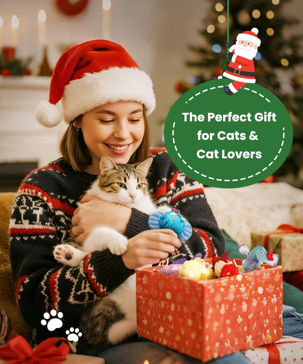 Nocciola Catnip Toys gift pack for cat lovers with assorted colors