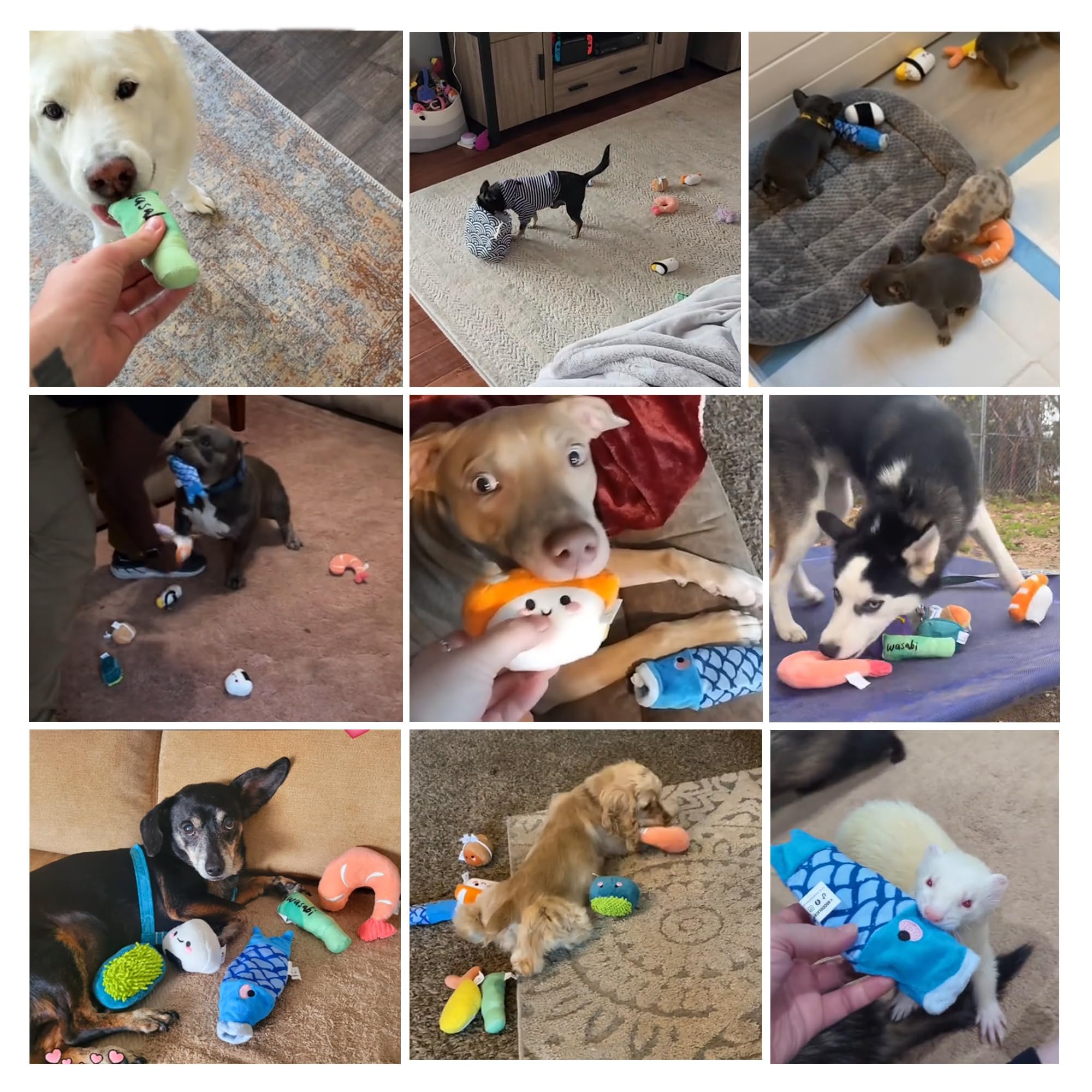 Nocciola compact storage bag shown with 10-piece sushi set.