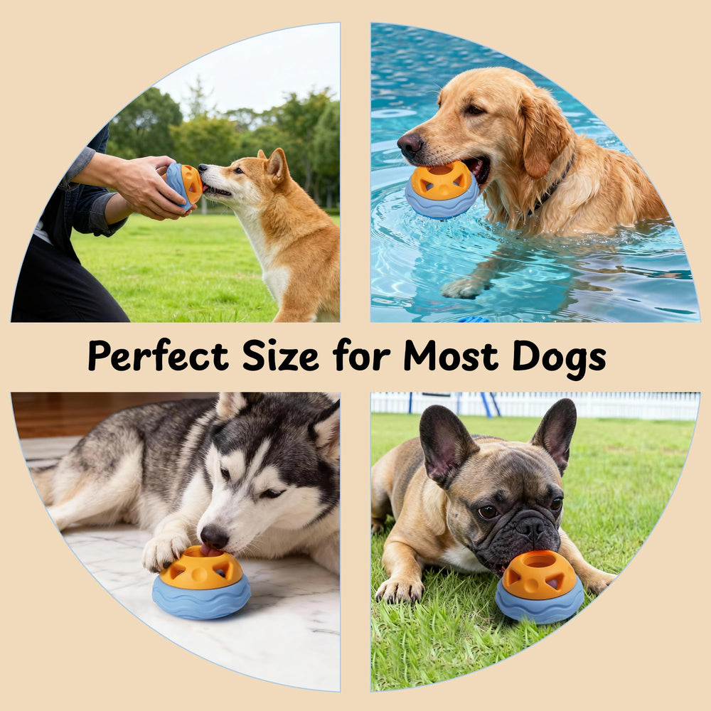 Nocciola crate-training aid keeps dogs occupied during downtime