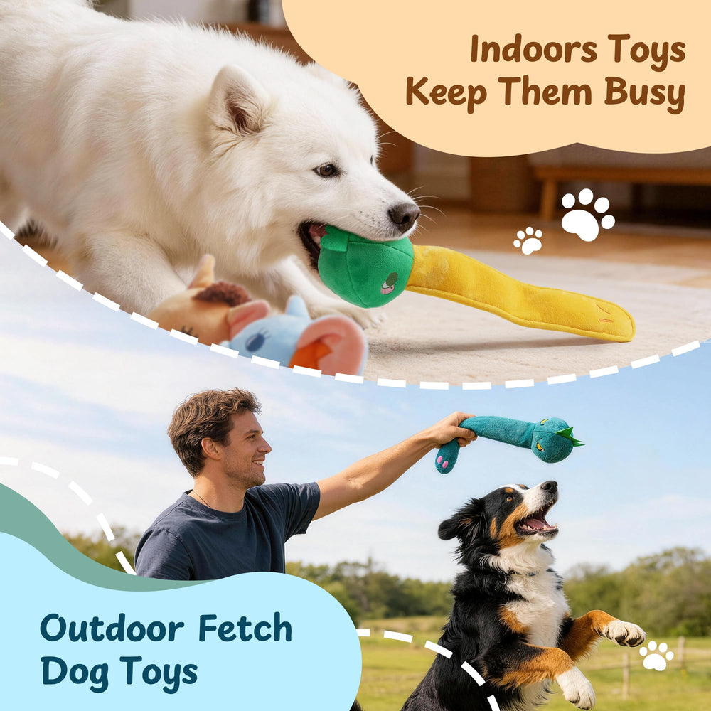 Nocciola fetch-ready toy encourages outdoor activity and owner-dog bonding