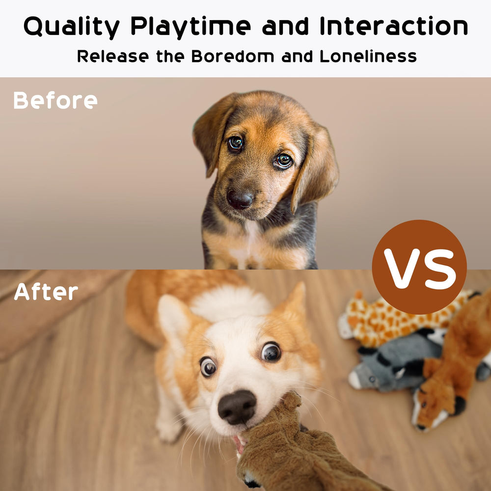 Nocciola squeaker inside head and tail stimulates curious dogs