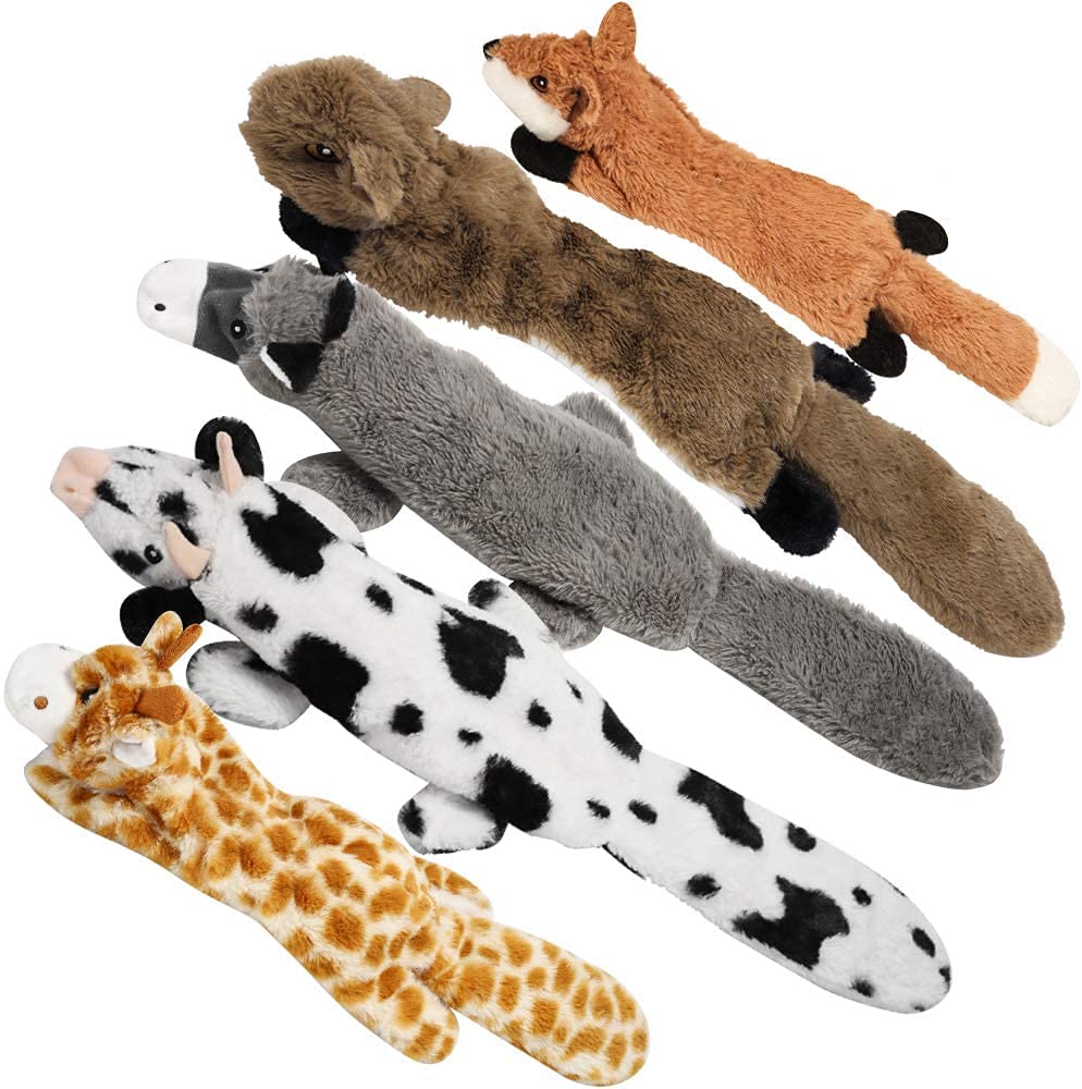 Nocciola 5-pack dog squeaky toys set for interactive play across sizes