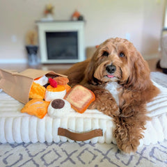 Nocciola dulce de leche cookie toy, hidden treats promote problem-solving and sniffing.