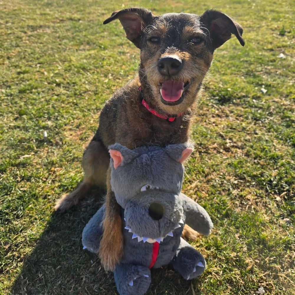 Nocciola durable toy designed for small to medium dogs