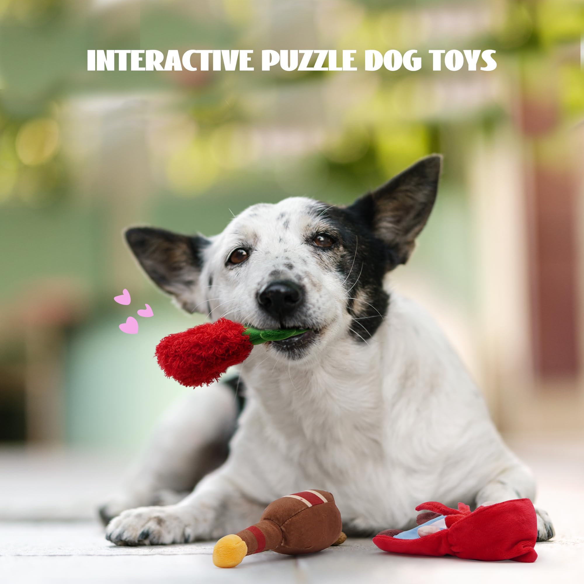Nocciola eco-friendly non-toxic materials ensure safe pet play