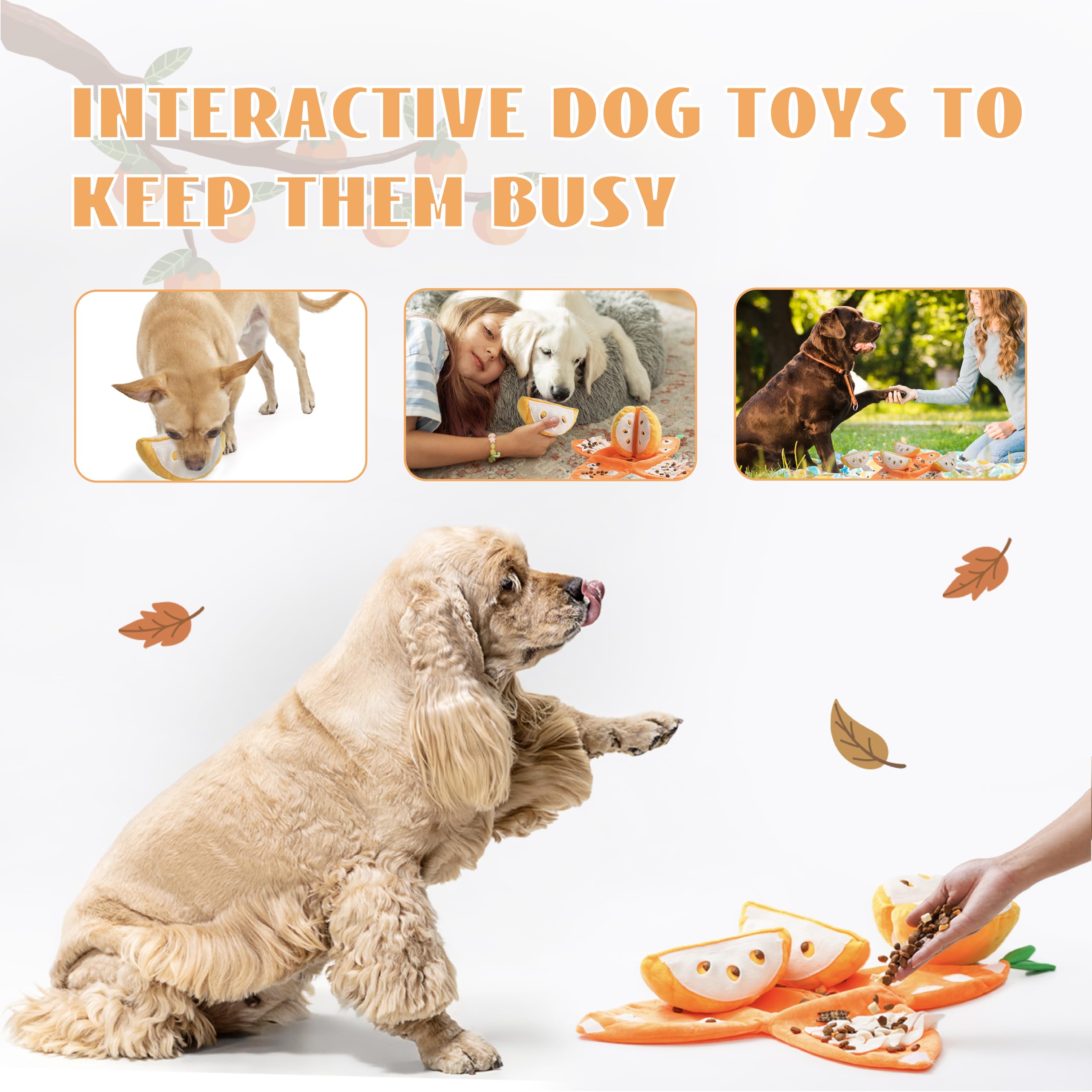 Nocciola interactive toy for enrichment supports active play sessions.