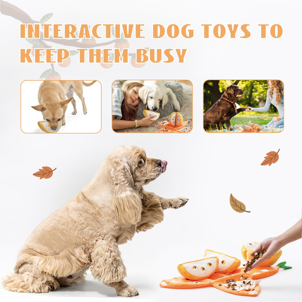 Nocciola interactive toy for enrichment supports active play sessions.