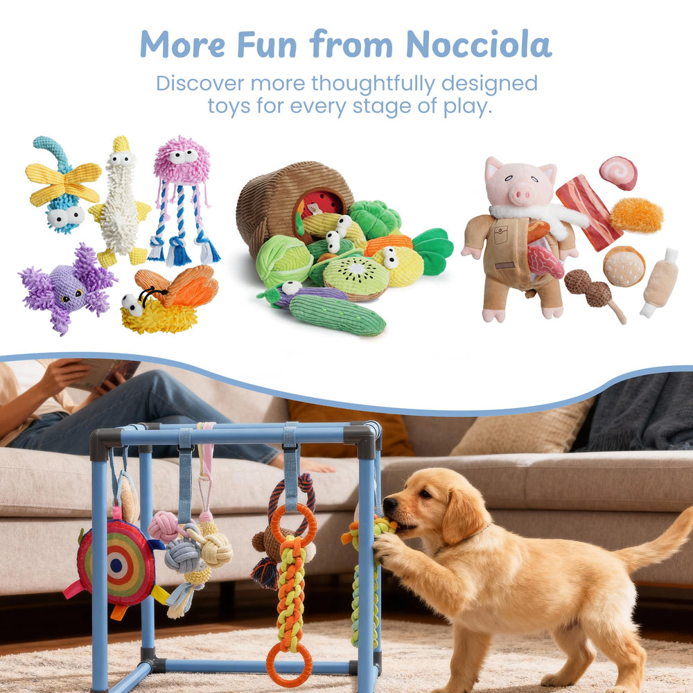 Nocciola Puppy Play Gym crate-side enrichment layout for calm hours.