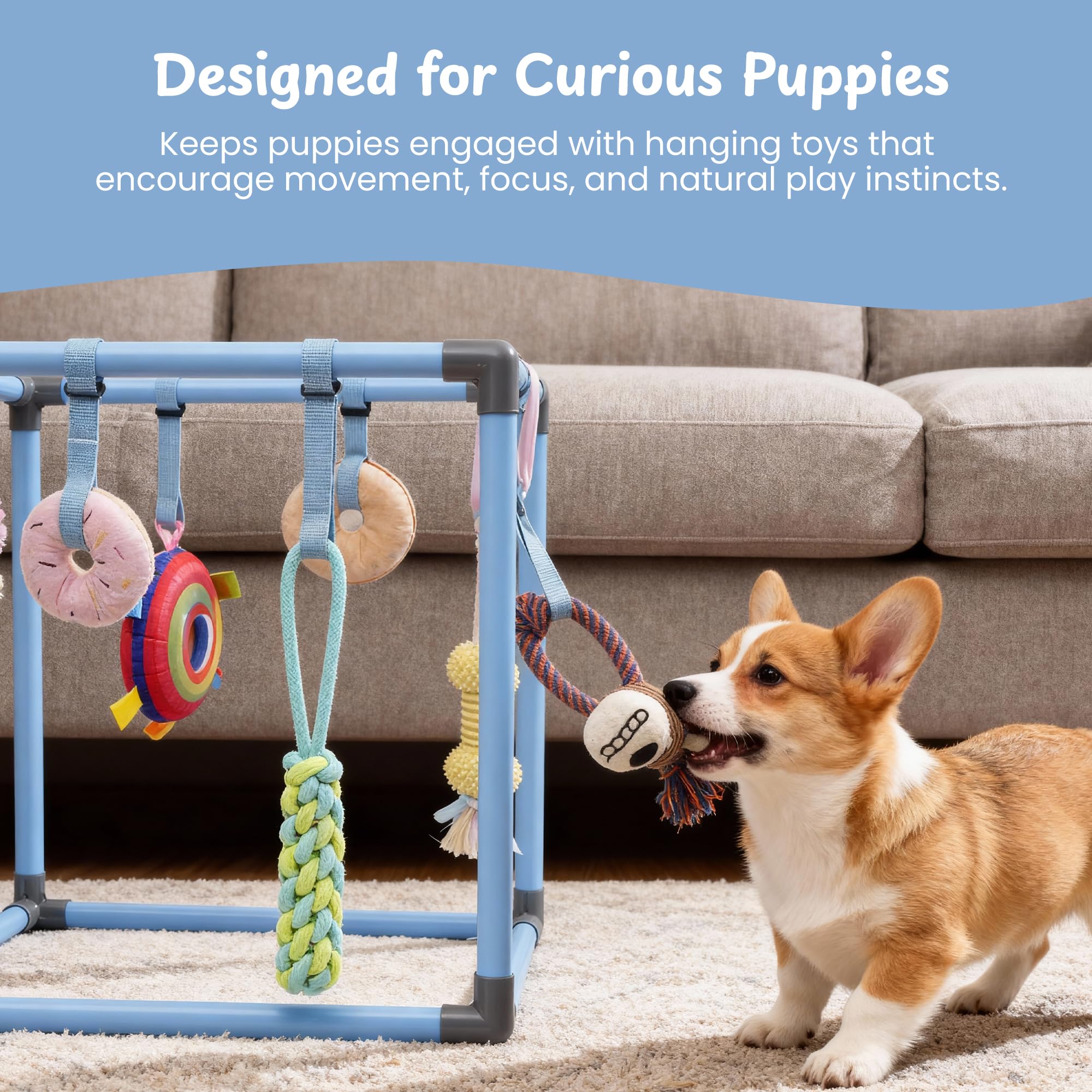 Nocciola Puppy Play Gym hanging toys display encouraging interaction and exploration.