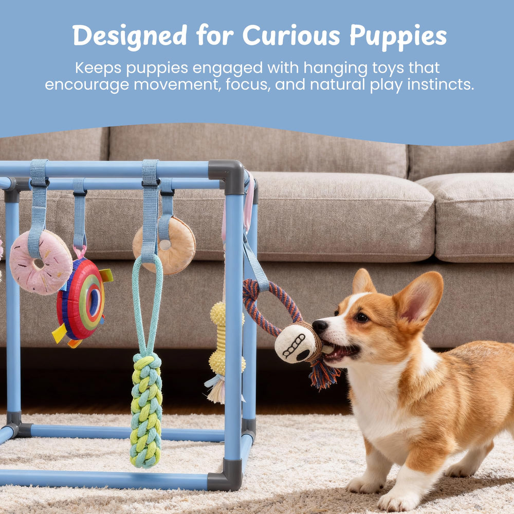 Nocciola Puppy Play Gym hanging toys display encouraging interaction and exploration.