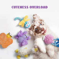 Nocciola five-pack plush toys for dogs provide versatile play options at home.