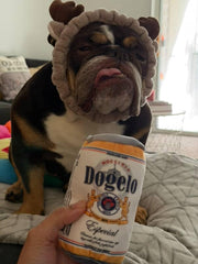 Nocciola squeaker-crinkle beer can toy boosts engagement with sound and texture.