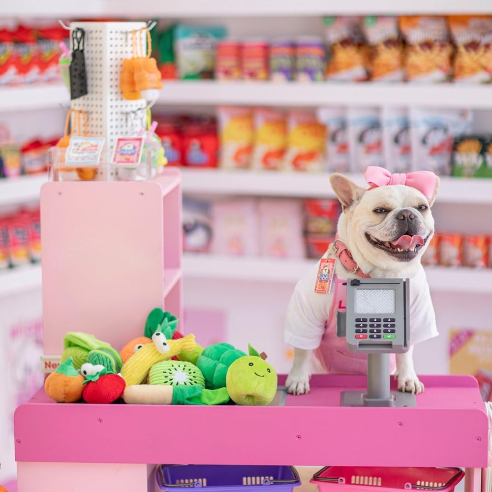 Nocciola squeaky-fruits toys spark curiosity during fetch and chew.