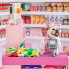 Nocciola squeaky-fruits toys spark curiosity during fetch and chew.