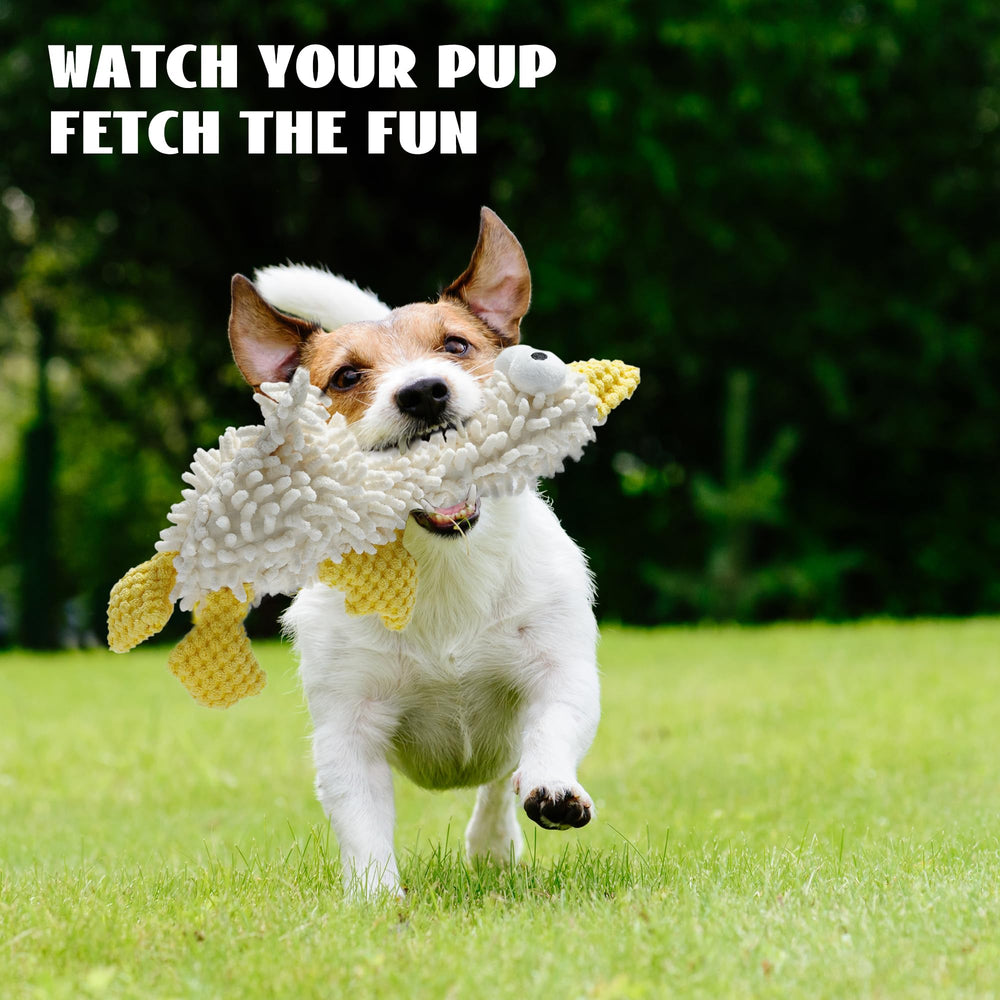 Nocciola pack showcases safe play when used under supervision for longer-lasting fun.