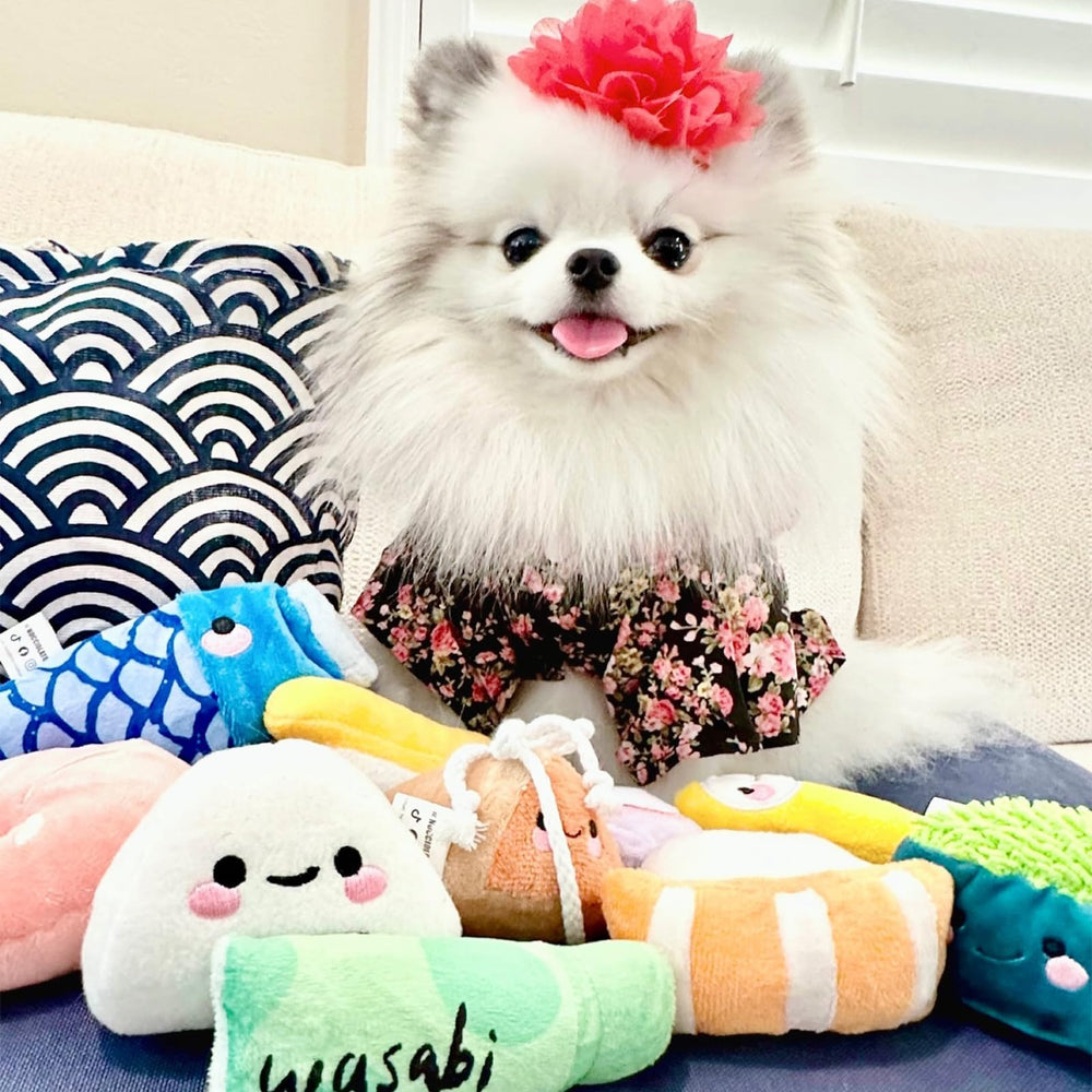 Nocciola squeaky sushi toy stored in bag, keeps playthings organized after use.